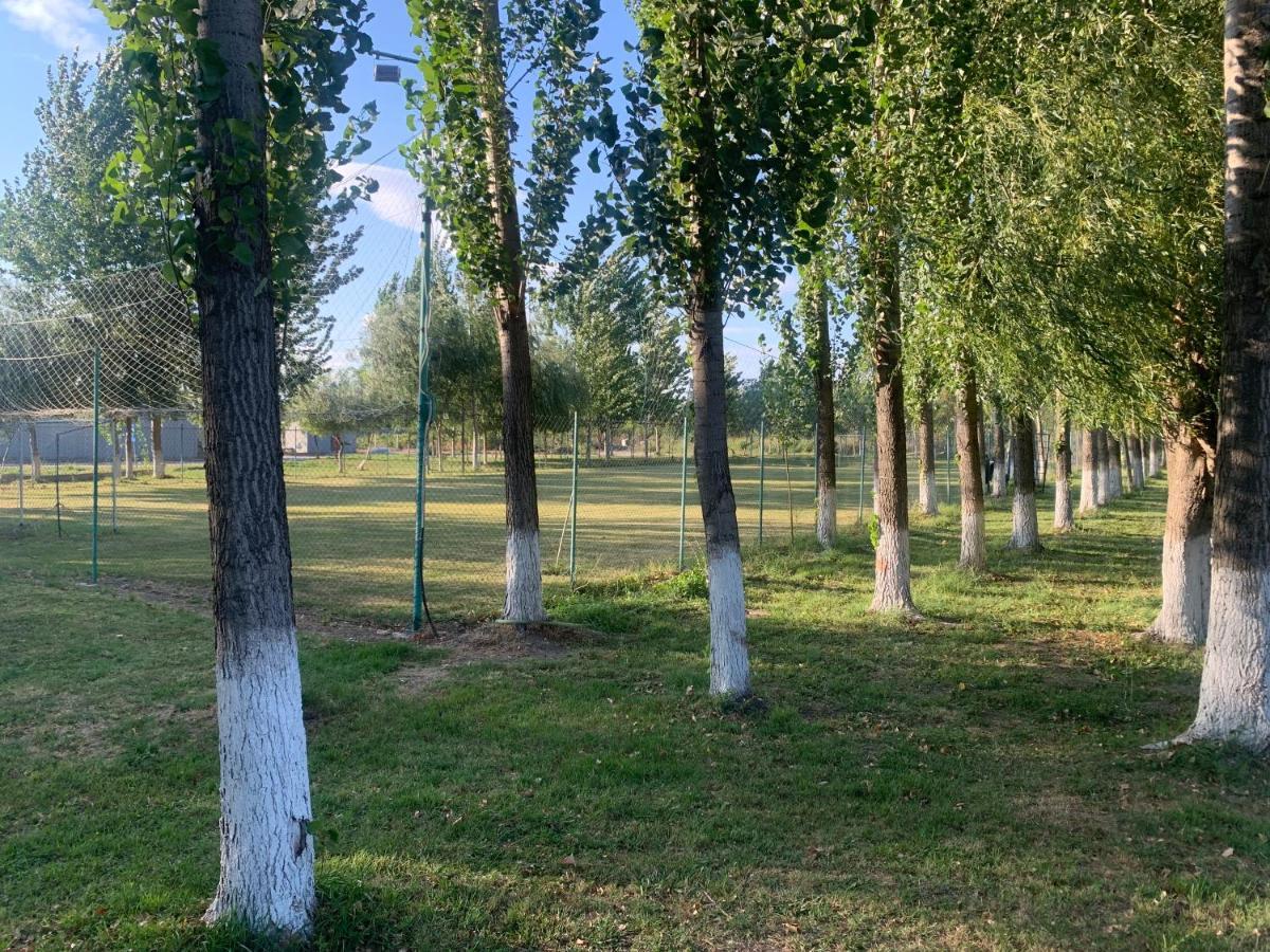 Вілла Gigios Sport&Relax Bailesti Екстер'єр фото