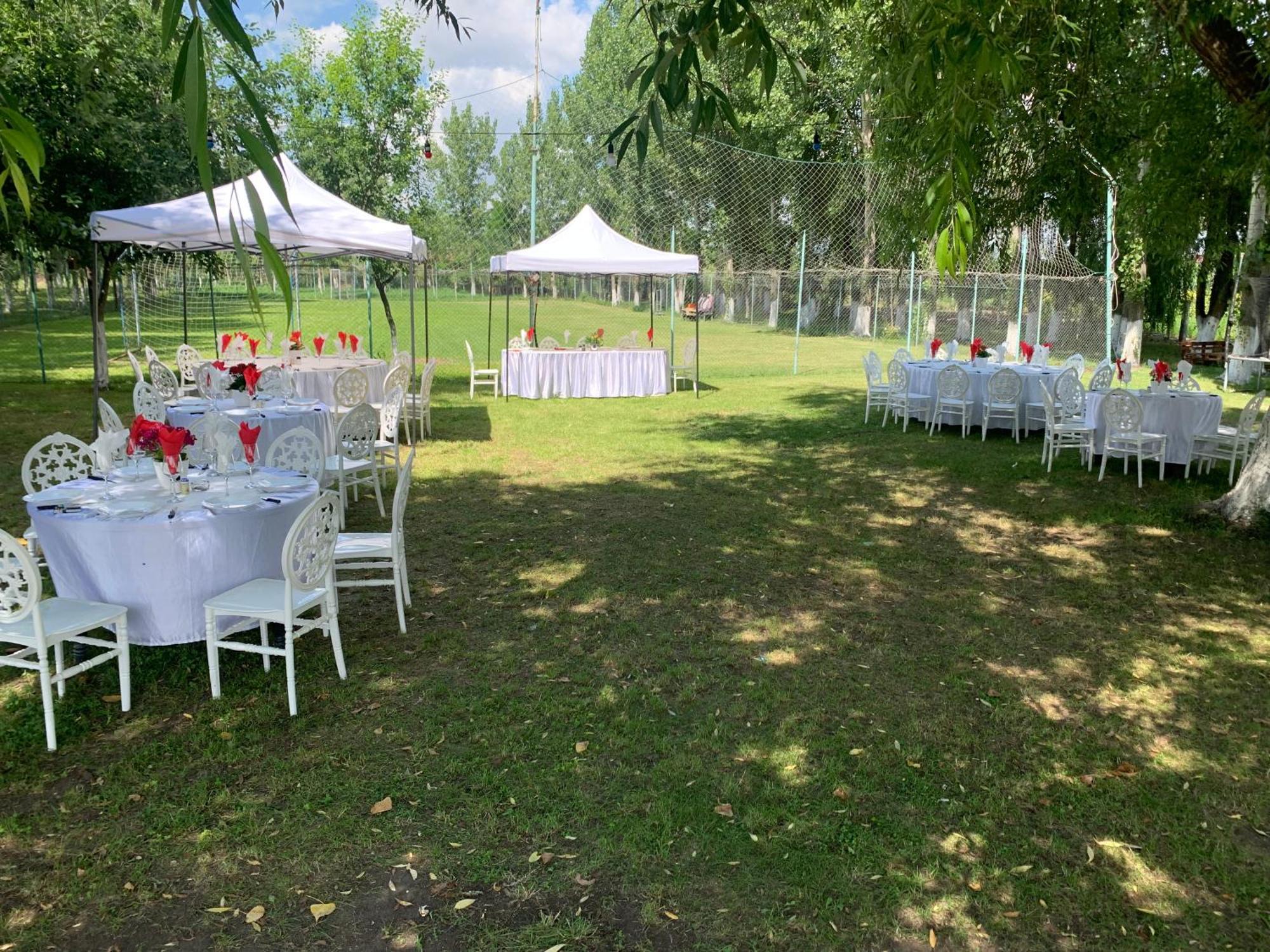 Вілла Gigios Sport&Relax Bailesti Екстер'єр фото