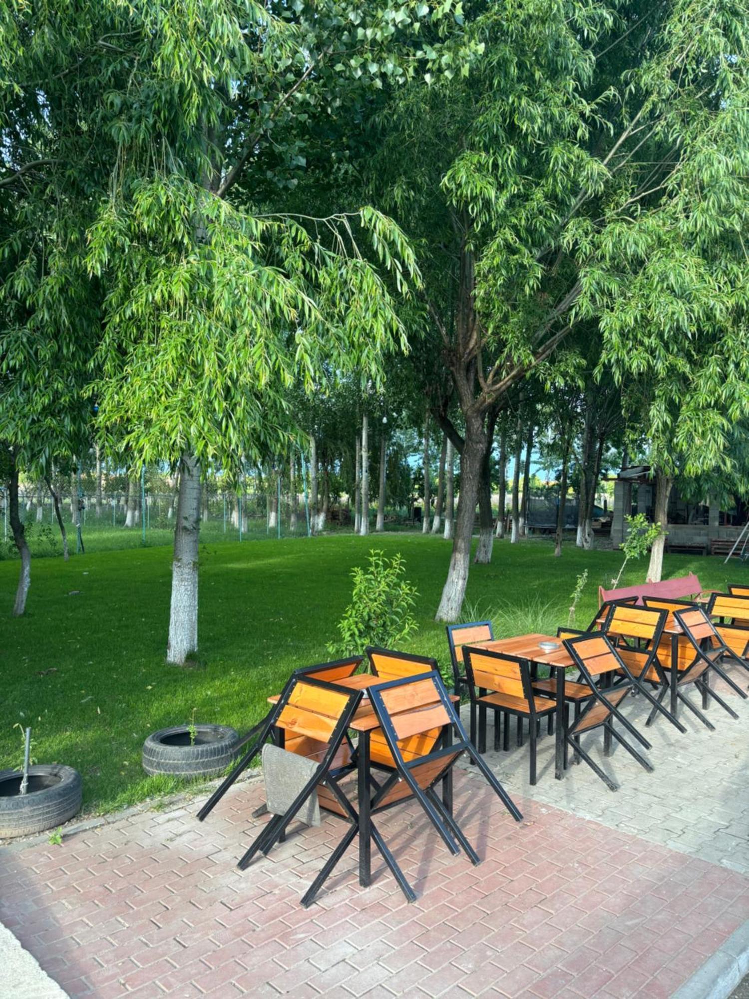 Вілла Gigios Sport&Relax Bailesti Екстер'єр фото